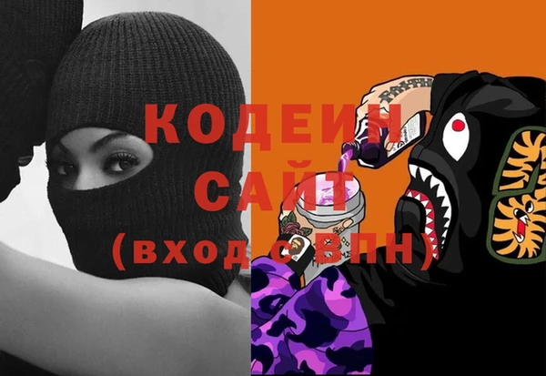 дурь Алексин