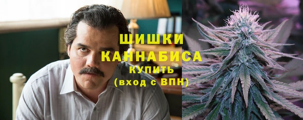 молекула духа Алзамай