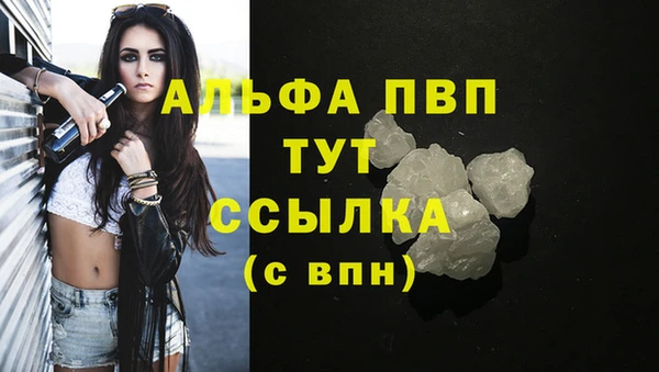 сатива Галич